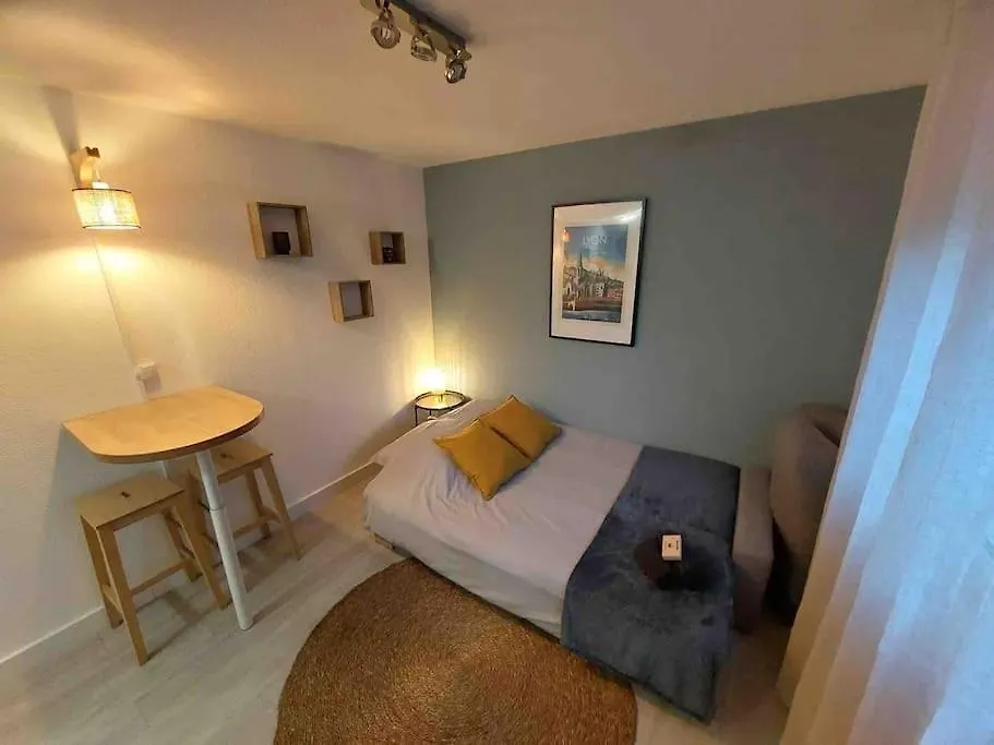 Studio Le Pensier - Monplaisir Lyon Apartment